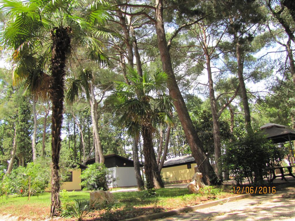 Holiday Park Mimoza Basanija Ngoại thất bức ảnh